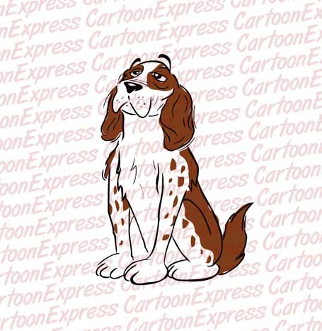 spaniel dog
